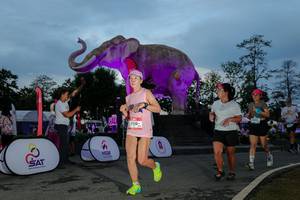 BIB: 
                            <button type="button" onclick="openModal(26529633)" class="btn btn-primary btn-sm float-right btn-popup" data-toggle="modal" data-target=".modal-high-quality">
                        <i class="fas fa-shopping-cart"></i> Add to Cart
                    </button>
                                            <button type="button" onclick="isThisMe(26529633, true)" class="btn btn-success btn-sm float-right btn-popup btn-isme hidden" data-toggle="tooltip" data-placement="bottom" title="นี่คือรูปของคุณใช่ไหม คลิกที่นี่เพื่อเอาเข้าอัลบั้ม">
                        <i class="fas fa-plus"></i> Add to album
                    </button>
                    <button type="button" onclick="isThisMe(26529633, false)" class="btn btn-warning btn-sm float-right btn-popup btn-isnotme hidden">
                        <i class="fas fa-ban"></i> Remove from album
                    </button>